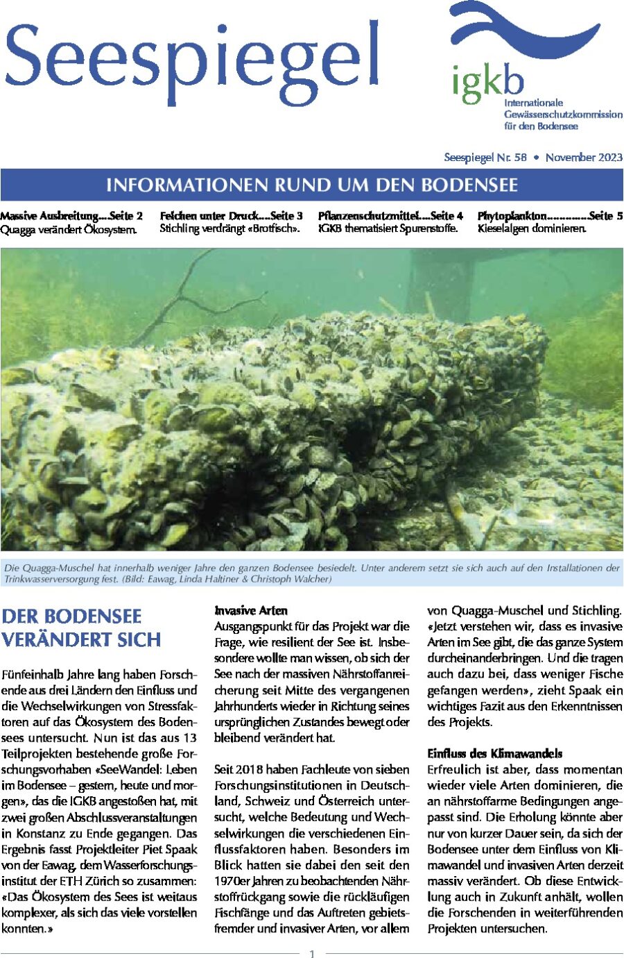 Ausgabe Nr. 58 - November 2023