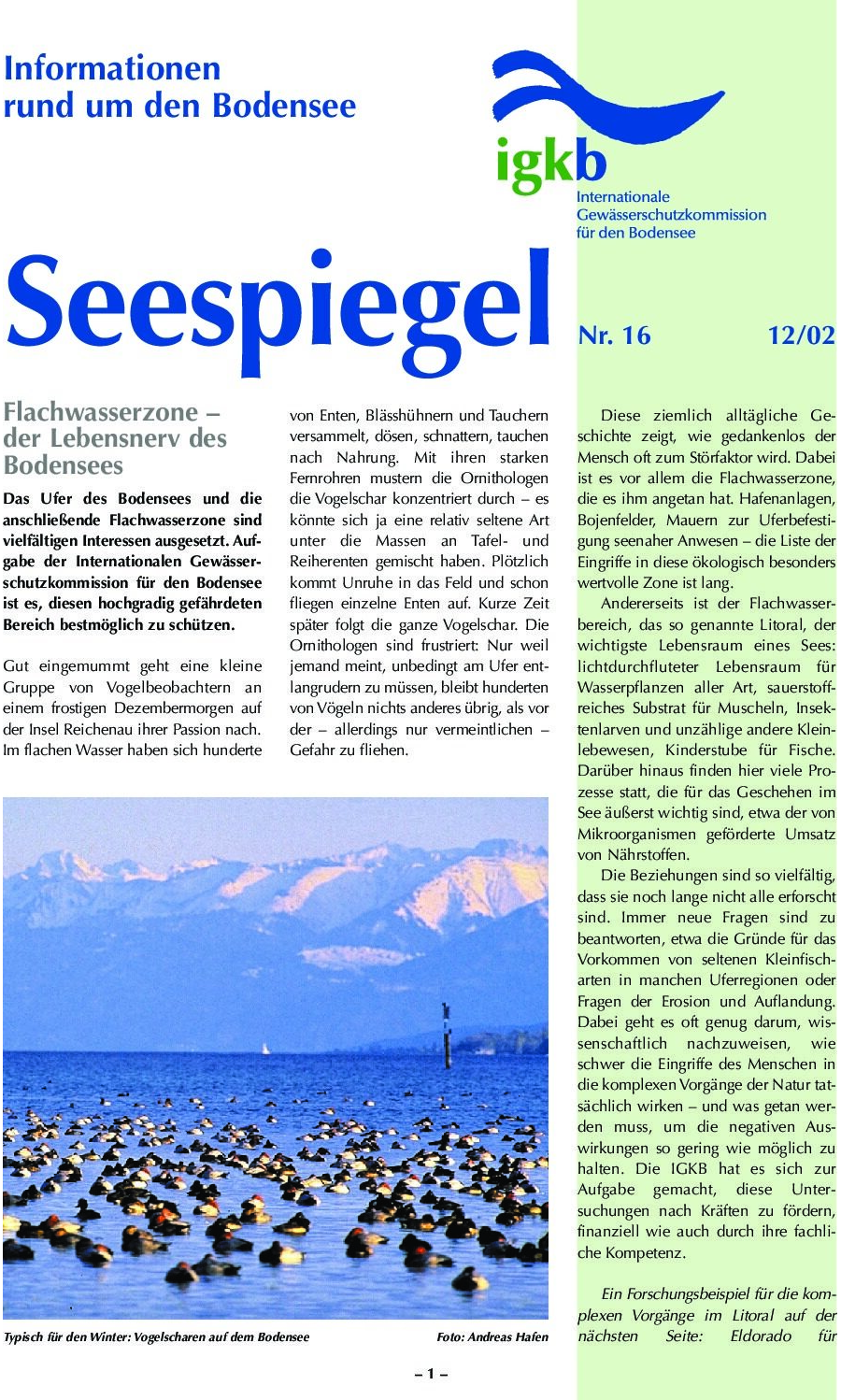Ausgabe Nr. 16 - Dezember 2002