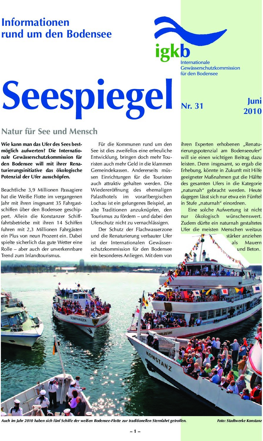 Ausgabe Nr. 31 - Juni 2010