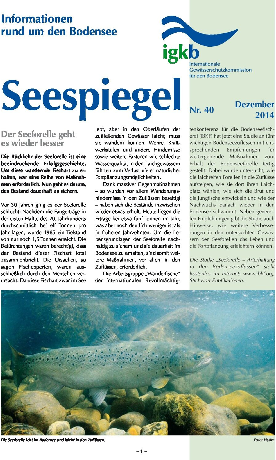 Ausgabe Nr. 40 - Dezember 2014