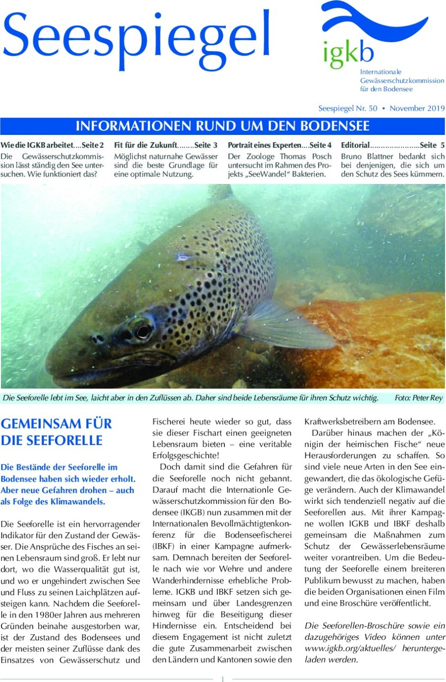 Ausgabe Nr. 50 - November 2019
